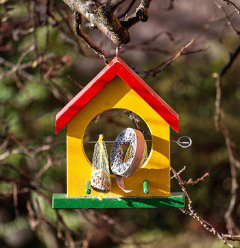 yellow, red and green birdfeeder with fruit