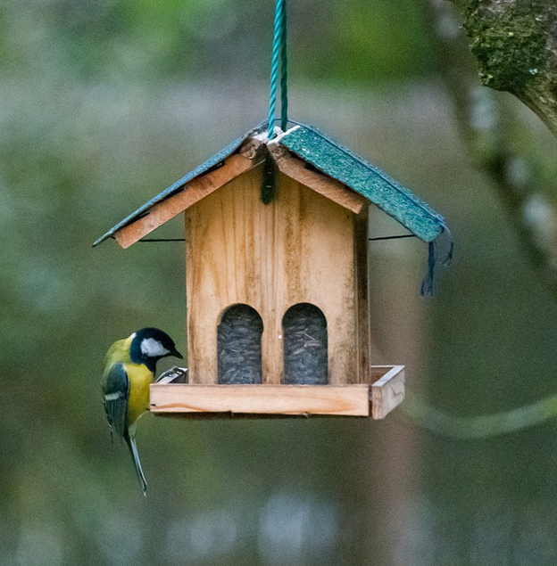 wooden bird feeder