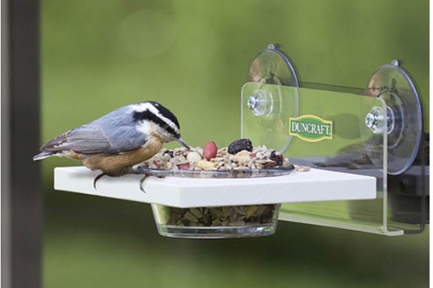 suction cup feeder