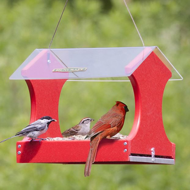 Red platform feeder with cardinal and 2 other birds enjoying a snack