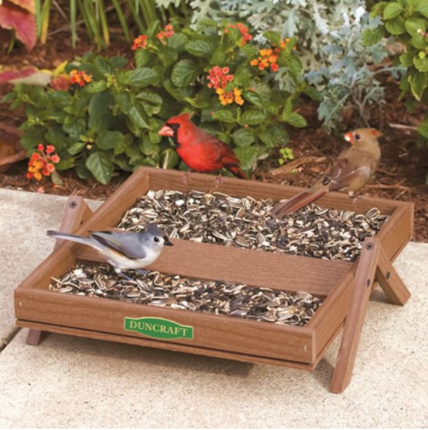 Ground platform feeder set on the patio with 3 birds eating birdseed from it