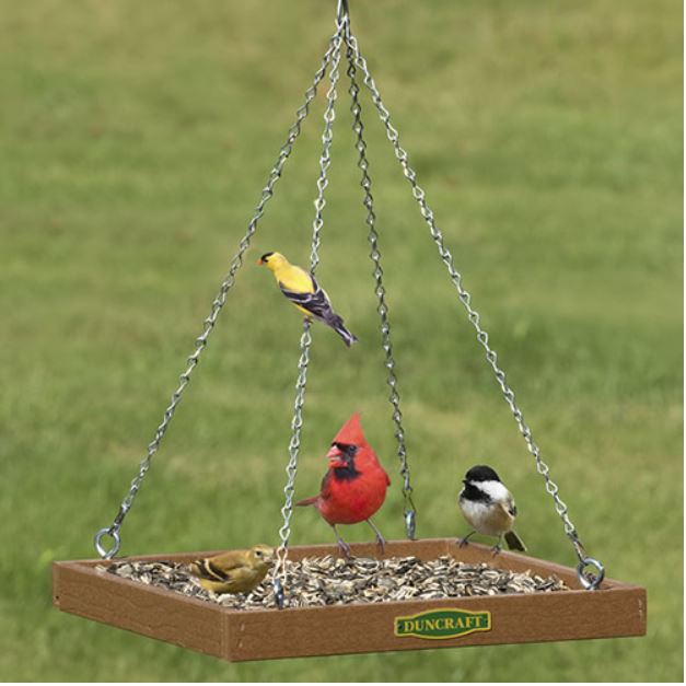 platform feeder with 2 yellow finches, a cardinal and a chickadee eating bird seed