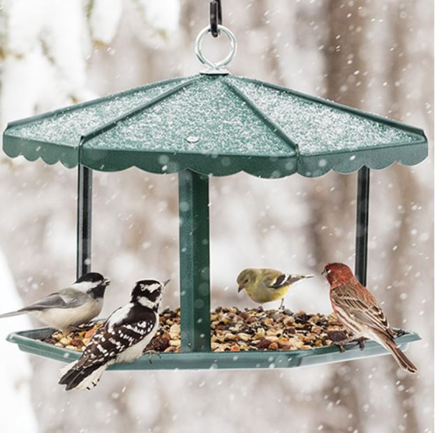 open green bird feeder in the snow