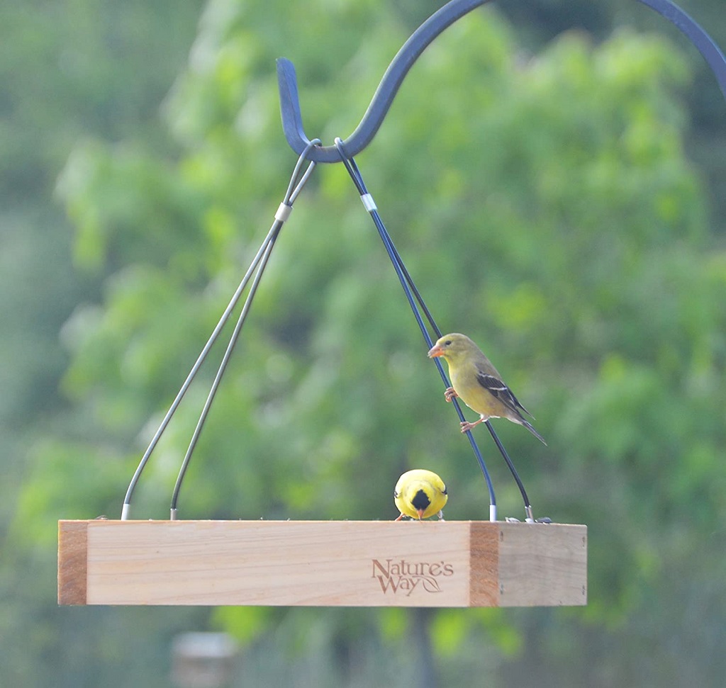 Wooden bird feeder with 2 yellow finches 