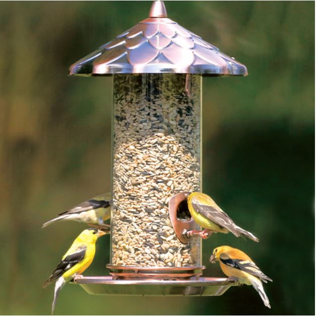 Tube bird feeder with a Copper top shaped like an acorn