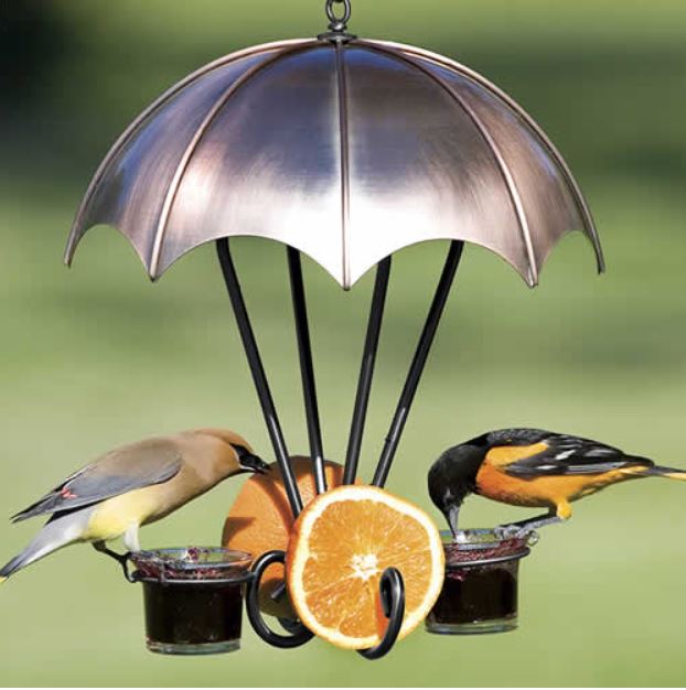 Oriole Feeder with a umbrella shaped copper top