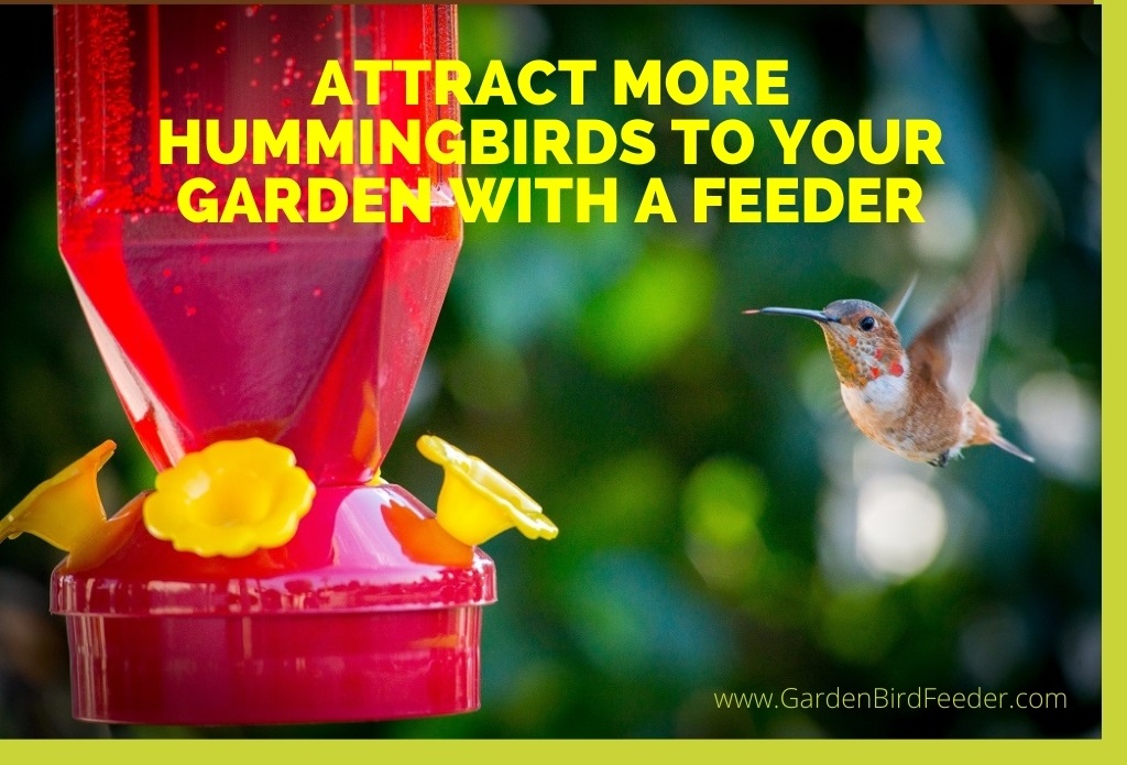 Red hummingbird feeder with yellow tubes - Attract More Hummingbirds to Your Garden with a Feeder