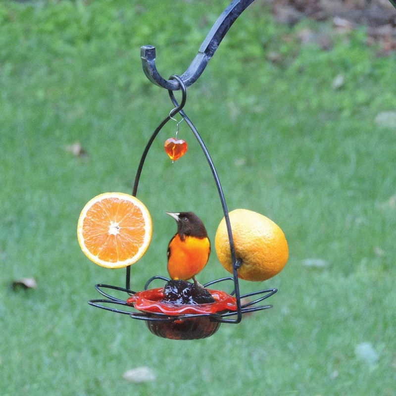 Birds Choice Flower Oriole Bird Feeder Small Orange