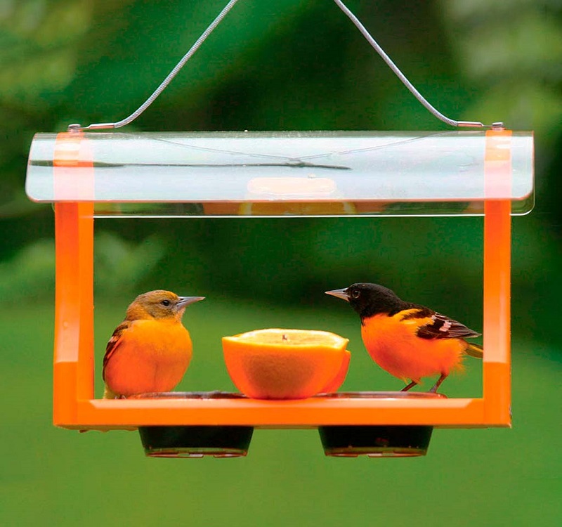 Recycled Poly Feeder from Plow & Hearth