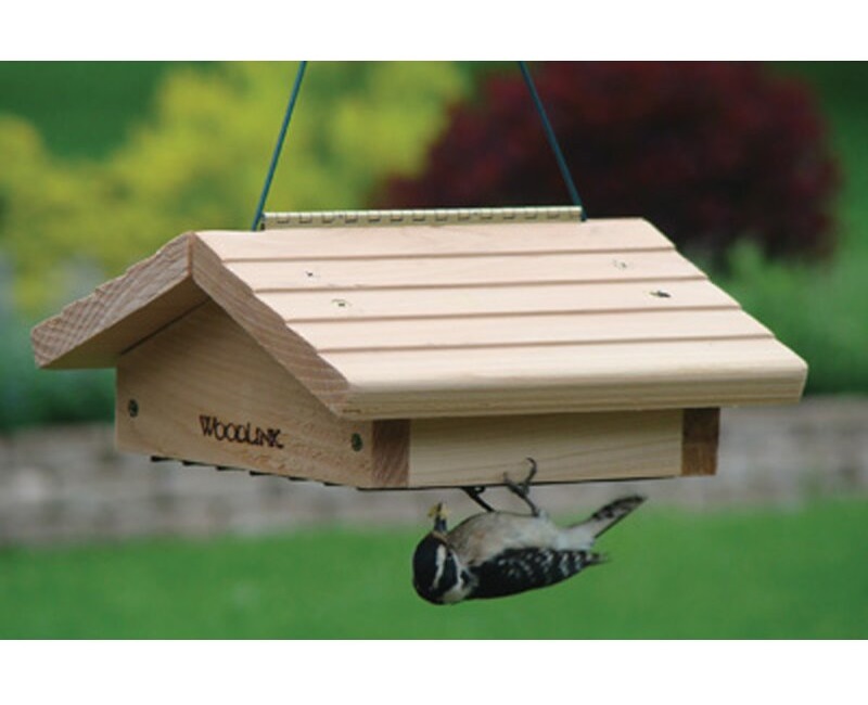Woodpecker eating from Woodlink suet bird feeder
