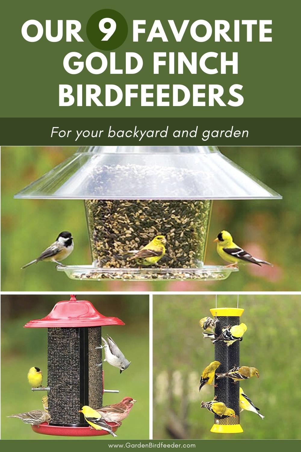 Favorite Finch Birdfeeder Pinterest Pin