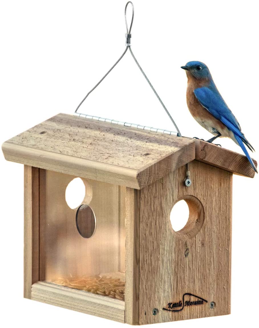 Kettle Moraine Cedar Hanging Bluebird Mealworm Feeder