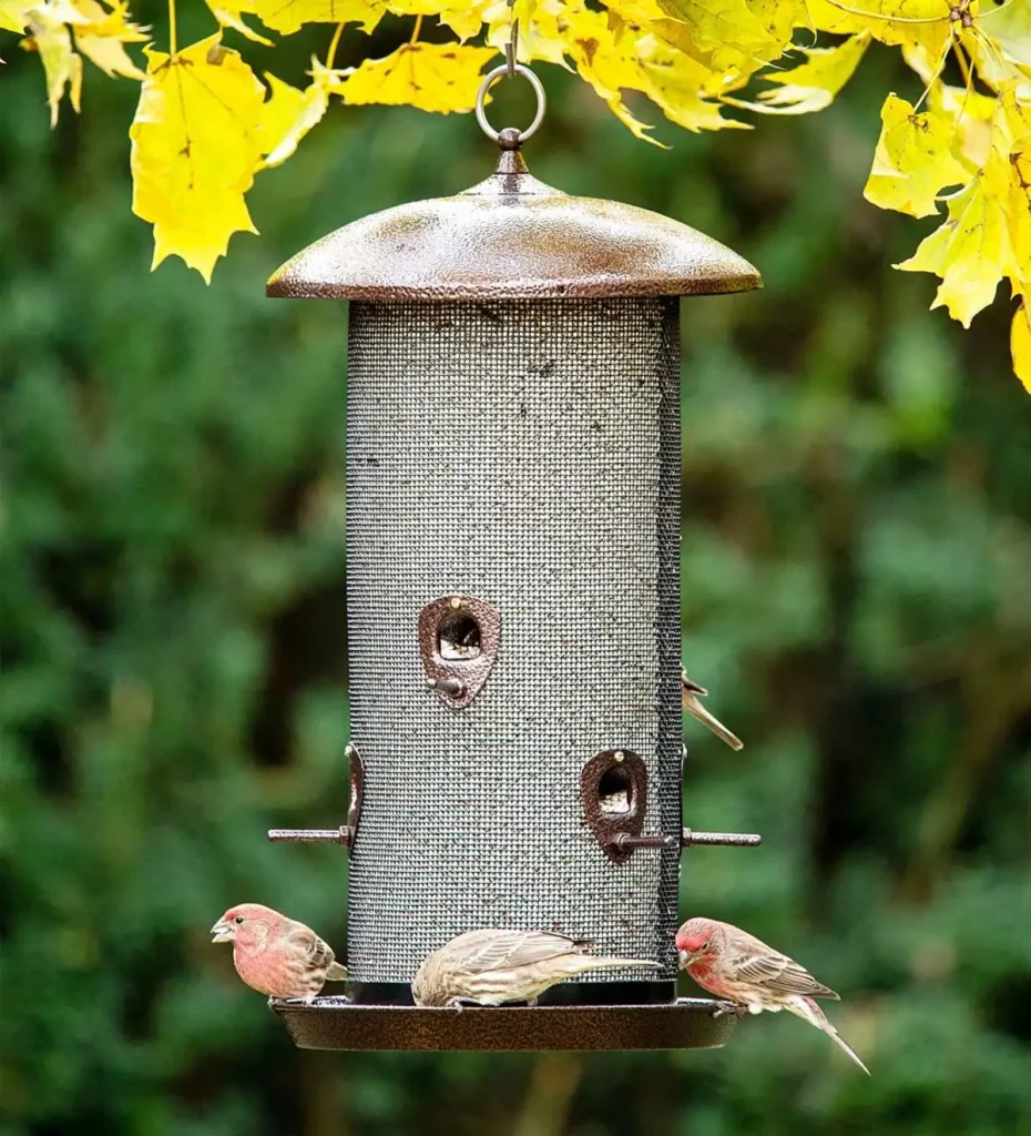 Large Metal Finch Feeder from Plow Hearth