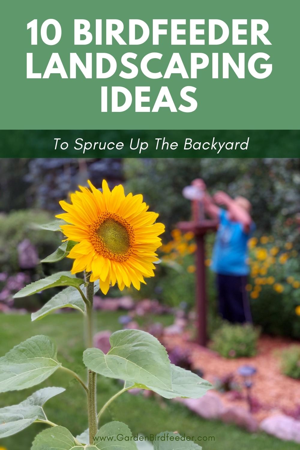 birdfeeder landscaping ideas - with sunflower and man filling the feeder in background