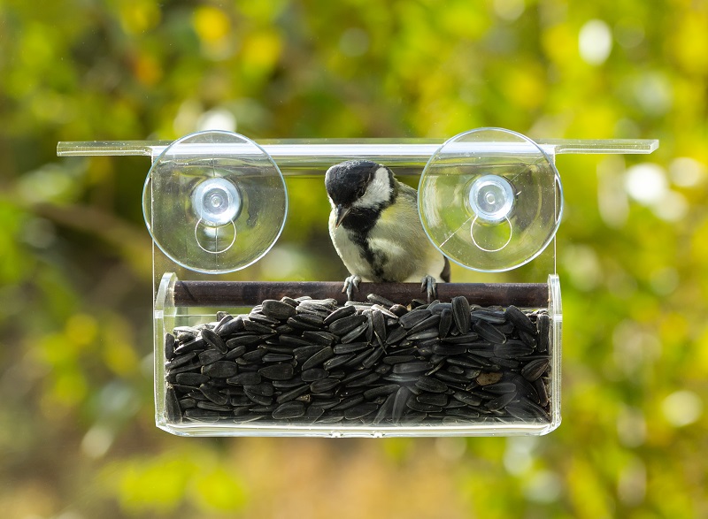 bird feeder on window