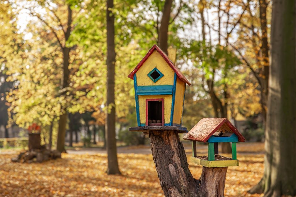 bird feeders on tree stump