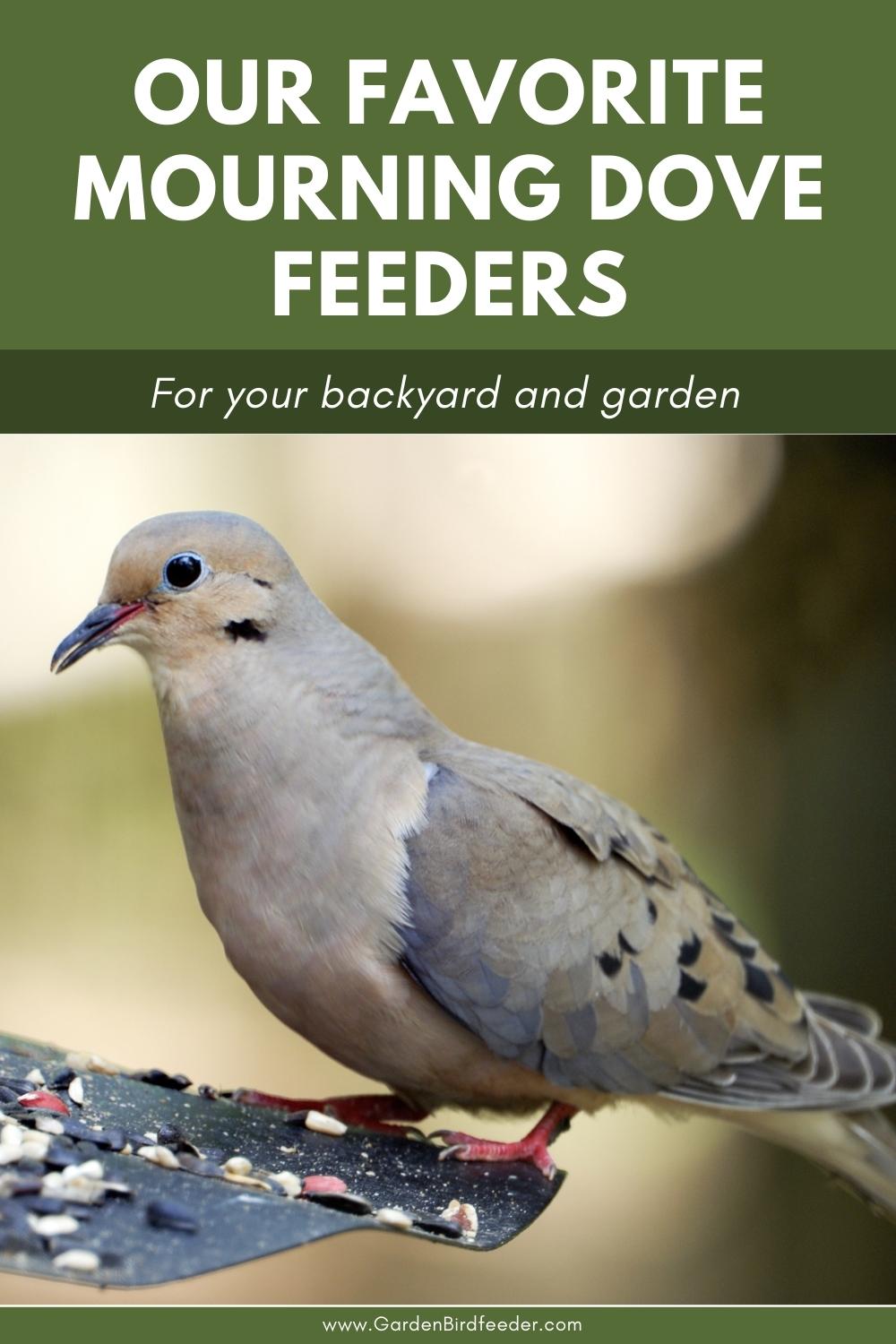 Our Favorite Mourning Dove Feeders - Pinterest Pin