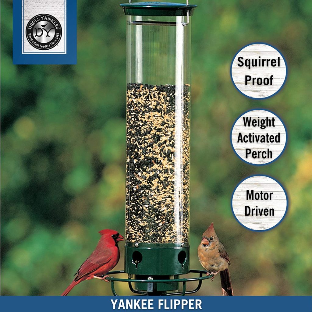 Droll Yankees Flipper Squirrel Proof Feeder