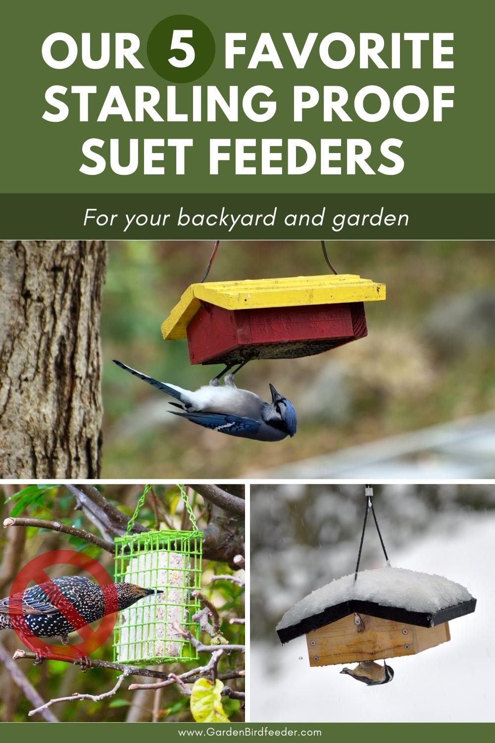 Starling Proof Suet Feeders