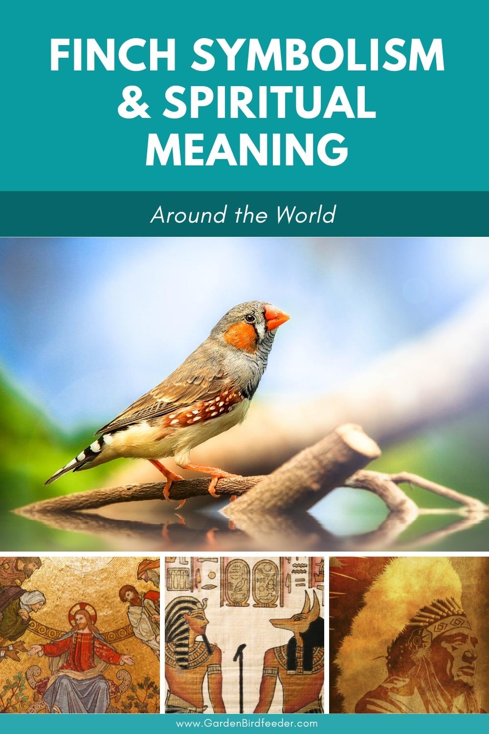 Finch symbolism and spiritual meaning. Learn what finches represent in the Bible, different religions, cultures, and in our dreams.