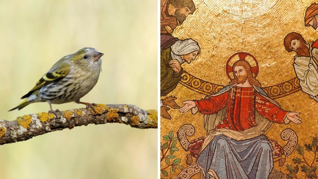 the Goldfinch as a symbol of Christianity