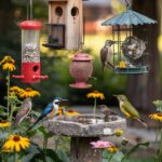 different types of bird feeders hanging in a garden