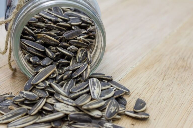 glass jar filled with birdseed