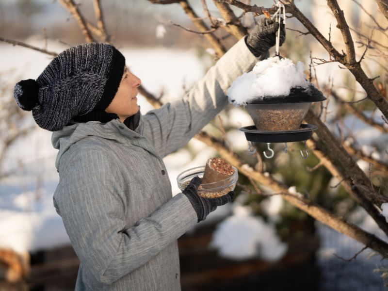 filling bird feeders with seed from container
