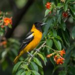 A vibrant oriole perched on a tree, surrounded by lush green foliage and bright orange flowers